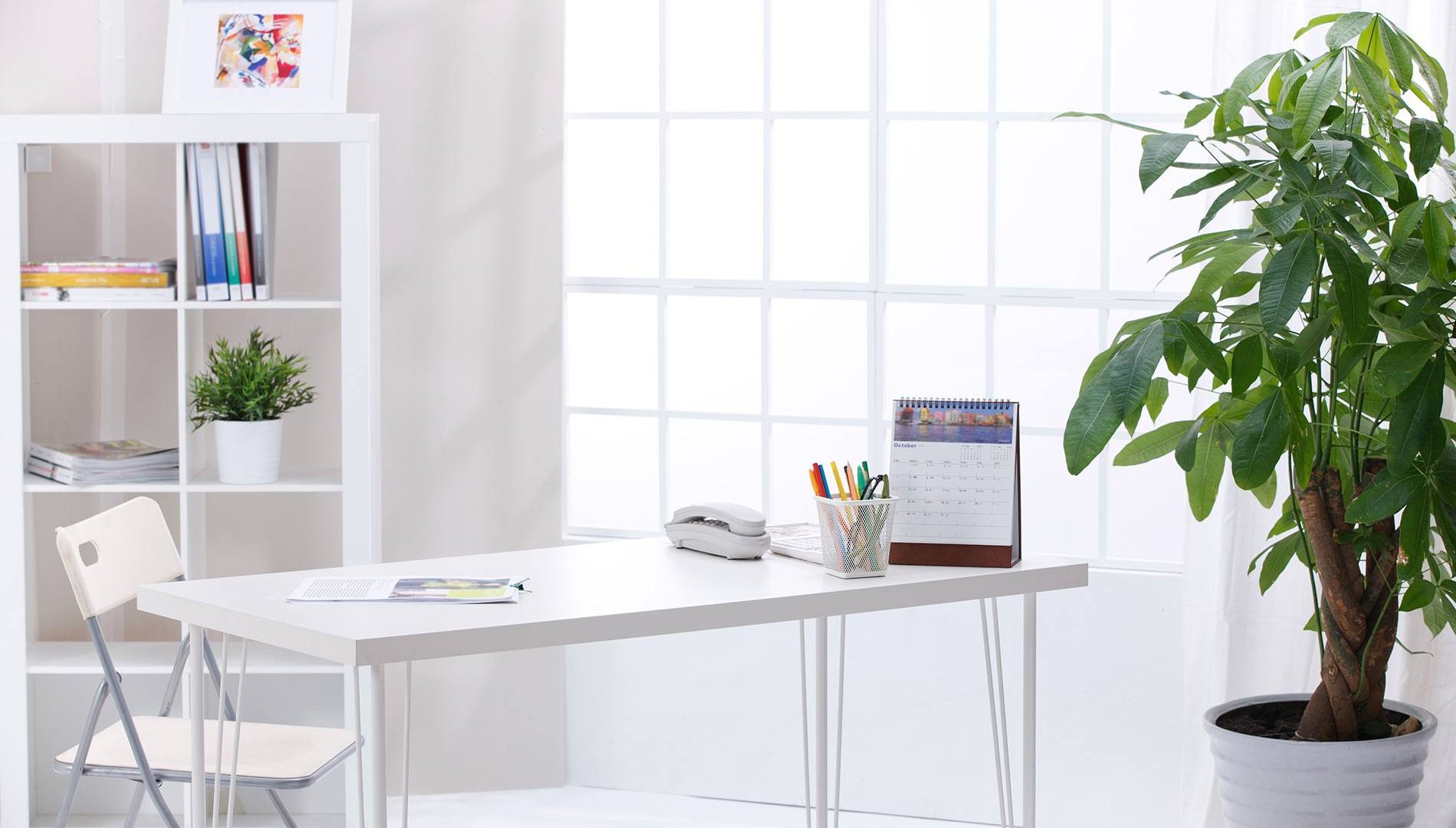 The Origins of Open Space Offices